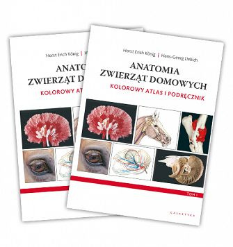 Anatomia Zwierz t Domowych Kolorowy Atlas I Podr cznik Wydanie IV anatomia-zwierz-t-domowych-kolorowy-atlas-i-podr-cznik-wydanie-iv